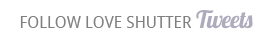 Follow Love Shutter Tweets